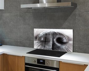 Szkło Ozdobne do Kuchni Zbliżenie na Psi Nos