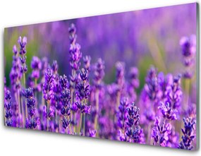 Panel Szklany Prowansalskie Pole Lawendy