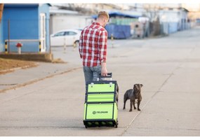 Fieldmann FDN 4150 metalowa skrzynka na narzędzia