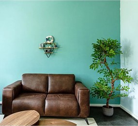 STILISTA Półka ścienna, ciemna drewno, 48 x 47 x 11 cm