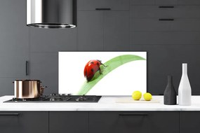 Panel Szklany Biedronka Na Zielonym Liściu