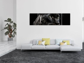 Obraz - Czarna Pantera (170x50 cm)