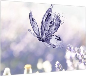 Obraz - Motyl i lawenda (70x50 cm)