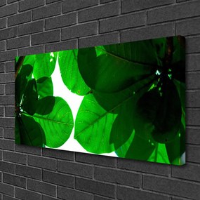 Obraz na płótnie Stylowy Motyw Liści