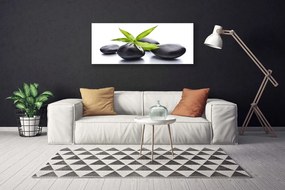 Obraz na płótnie Duet Kamienia i Liścia