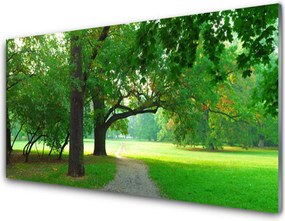Szkło do Kuchni na Ścianę Aleja w Cieniu Drzew