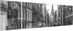 Obraz - Holandia (170x50 cm)