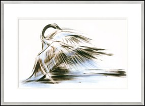 Elegancka grafika z łabędziem do salonu i sypialni Łabędź, Seria Wodna | Anna Borkowska