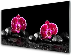 Panel Szklany do Kuchni Biała Orchidea W Zbliżeniu