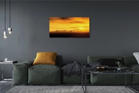 Duży obraz na płótnie Drzewo i Żyrafy pod Niebem