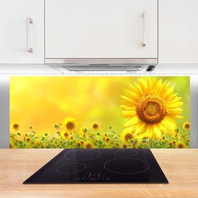 Szkło do Kuchni na Ścianę Słonecznik Pod Letnim Niebem