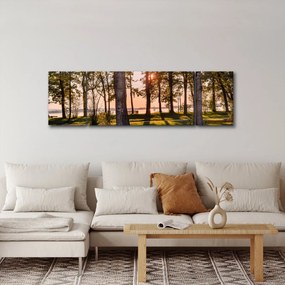 Obraz drzew nad jeziorem (170x50 cm)