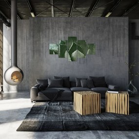 Obraz - Zielona agawa (125x70 cm)
