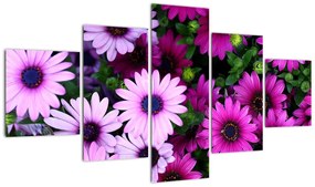 Obraz - Kwiaty (125x70 cm)