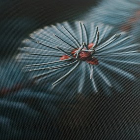 Obraz gałązki drzewa iglastego (170x50 cm)