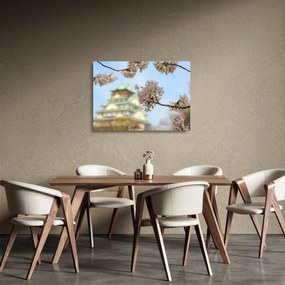 Obraz na szkle - Sakura (70x50 cm)