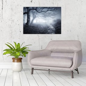 Obraz na szkle- Droga we mgle (70x50 cm)