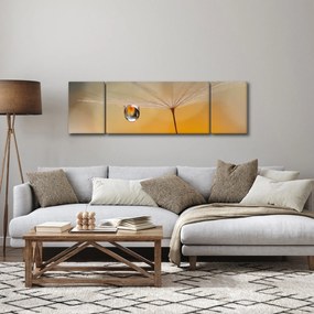 Obraz - Makro kwiat (170x50 cm)