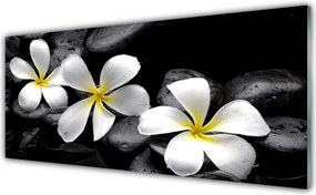Szkło do Kuchni na Ścianę Kwiat Plumerii W Rozkwicie