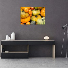 Obraz - Jesienna dynia (70x50 cm)