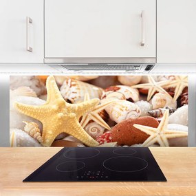 Panel Szklany Kompozycja Muszli na Brzegu