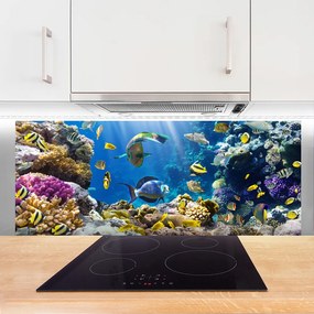 Panel nad blat kuchenny Kolorowa Rafa Koralowa