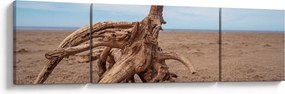 Obraz - Zmyte przez morze (170x50 cm)