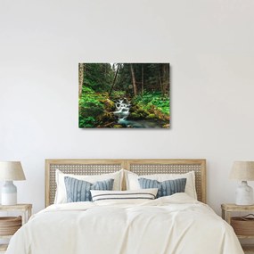 Obraz na szkle strumienia w lesie (70x50 cm)