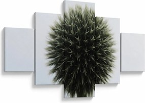 Obraz kuli kwiatowej (125x70 cm)