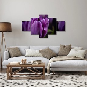 Obraz kwiatów tulipanów (125x70 cm)