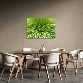 Obraz na szkle - Obraz rośliny w trybie makro (70x50 cm)