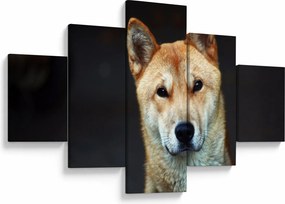 Obraz psa (125x70 cm)