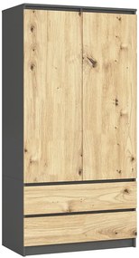 Dwudrzwiowa szafa szary + dąb artisan F4-D18