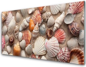 Szkło do Kuchni na Ścianę Skarby Morza na Piasku