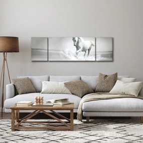 Obraz - Biały koń (170x50 cm)
