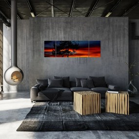 Obraz - Sylwetka wilka (170x50 cm)