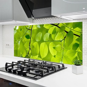 Panel Kuchenny Botaniczny Detal Liści