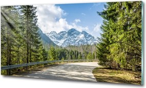 Foto obraz szkło hartowane Droga Tatry