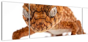 Obraz jaszczurki (170x50 cm)