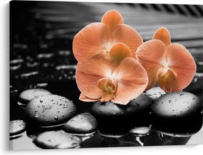 Obraz - Pomarańczowe orchidee (70x50 cm)