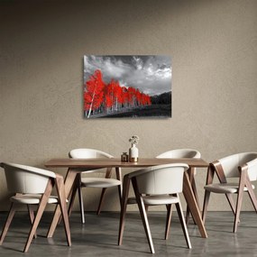 Obraz na szkle - Drzewa w kolorze jesieni (70x50 cm)
