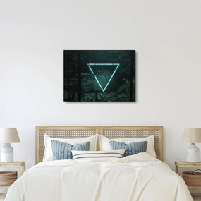 Obraz - Neonowy trójkąt w dżungli (70x50 cm)