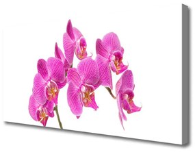 Obraz Canvas Orchidea Kwiaty Natura