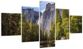 Obraz - Pod Yosemite Rock (125x70 cm)