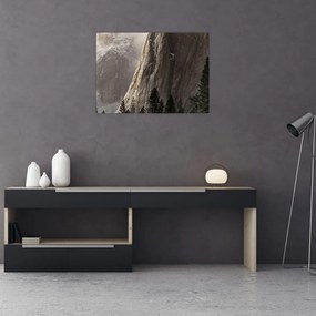 Zdjęcie z Parku Narodowego Yosemite Valley, USA (70x50 cm)