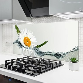 Panel Szklany Biała Stokrotka na Lustrze Wody