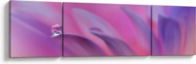 Obraz - Kropla na kwiecie (170x50 cm)