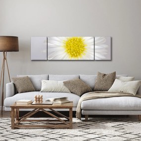 Obraz - Margarita (170x50 cm)