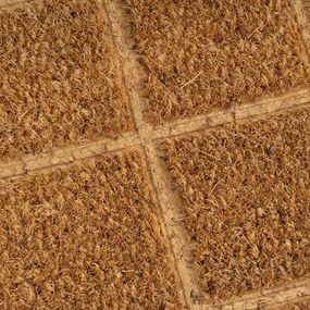 Wycieraczka z włókna kokosowego 25x75 cm Trazos – Casa Selección