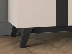 Dwudrzwiowa szafa ubraniowa z drążkiem Freshion 01, kaszmir / czarny